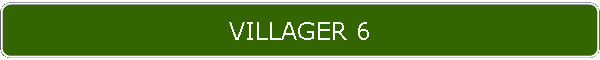 VILLAGER 6
